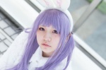 alice_in_wonderland animal_ears blouse bunny_ears cosplay giqo_opnn purple_hair sweater tie white_rabbit rating:Safe score:0 user:pixymisa