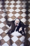 cosplay dress hairband houtou_singi rozen_maiden suigintou white_hair wings rating:Safe score:0 user:nil!