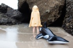 dolphin float hizuki_yuuki hoodie hoodie_ears necklace rating:Safe score:0 user:pixymisa