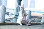 animal_ears bakemonogatari cat_ears cosplay dress hanekawa_tsubasa mizuki_mao pantyhose sheer_legwear white_hair rating:Safe score:2 user:pixymisa