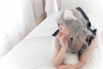 animal_ears cat_ears choker chokotto_hime cosplay dress masiyu_itigo shiroko silver_hair rating:Safe score:0 user:pixymisa