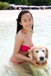 beach bikini braid cleavage dgc_1023 dog ocean swimsuit takashima_kaho wet rating:Safe score:0 user:nil!