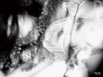 black_&_white bra cleavage miss_actress_96 tatsumi_natsuko twintails rating:Safe score:0 user:nil!