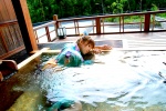 open-air_bath tachibana_minami wet yukata rating:Safe score:0 user:nil!