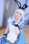 animal_ears apron bunny_ears cosplay dress idolmaster_2 okiron shijou_takane thighhighs white_hair rating:Safe score:0 user:nil!