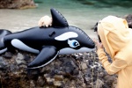 bikini camera cellphone dolphin float hizuki_yuuki hoodie hoodie_ears necklace plushie swimsuit rating:Safe score:0 user:pixymisa