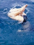aibu_saki ass bikini ocean swimsuit water_piece rating:Safe score:1 user:nil!