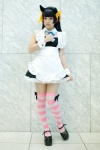 animal_ears apron asae_ayato cat_ears collar cosplay cuffs gokou_ruri hair_ribbons maid maid_uniform ore_no_imouto_ga_konna_ni_kawaii_wake_ga_nai ribbon_tie striped thighhighs zettai_ryouiki rating:Safe score:2 user:pixymisa