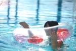 bikini ponytail pool side-tie_bikini swimsuit wet yume_kana rating:Safe score:0 user:nil!