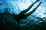 akiyama_rina one-piece_swimsuit pool swimsuit underwater wet ys_web_261 rating:Safe score:1 user:nil!