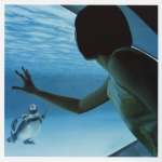 a_piacere aquarium dress penguins ueno_juri rating:Safe score:0 user:nil!