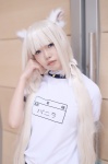 animal_ears blonde_hair buruma cat_ears choker cosplay gym_uniform ichinose_yukino nekopara shorts tshirt twintails vanilla_(sayori) rating:Questionable score:0 user:nil!