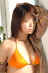 bikini_top blouse cleavage hotta_yuika open_clothes swimsuit rating:Safe score:1 user:nil!