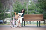 dress high_heels kim_ha-yul stuffed_animal teddy_bear rating:Safe score:0 user:mock