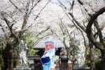 atsuki cosplay dress fan hat pink_hair saigyouji_yuyuko suite_memory touhou rating:Safe score:0 user:nil!