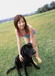 bikini_top cleavage dog otomo_sayuri shorts swimsuit ys_web_171 rating:Safe score:0 user:nil!