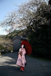 ando_sayaka costume geisha kimono umbrella yoi-yami rating:Safe score:0 user:nil!