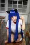 animal_ears blue_hair buruma cat_ears cosplay furude_rika gym_uniform higurashi_no_naku_koro_ni kneesocks pantyhose sheer_legwear shorts tshirt tsun rating:Safe score:0 user:nil!