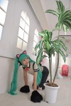 animal_ears aqua_hair blouse cat_ears choker cosplay hatsune_miku headset necoco necosmo paw_gloves project_diva suspenders trousers twintails vocaloid rating:Safe score:0 user:nil!