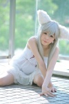 animal_ears bakemonogatari cat_ears cosplay dress hanekawa_tsubasa mikiko silver_hair rating:Safe score:1 user:nil!