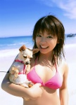 beach bikini_top cleavage dog komachi_momoko mokomomo ocean swimsuit rating:Safe score:1 user:nil!