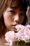close-up flowers ogawa_asami rose rating:Safe score:0 user:msgundam2