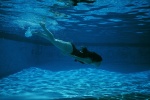 akiyama_rina ass one-piece_swimsuit pool swimsuit underwater wet ys_web_261 rating:Safe score:1 user:nil!