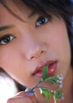 close-up flower hasebe_yuu i_<3_yu mouth_hold rating:Safe score:0 user:nil!