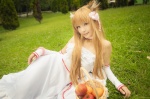 animal_ears choker cosplay detached_sleeves dress hair_ribbons horo orange_hair rococo spice_and_wolf whistle_around_the_world wolf_ears rating:Safe score:1 user:nil!