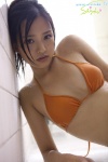 bathroom bikini_top cleavage ponytail shizuka_(ii) swimsuit wet rating:Safe score:0 user:nil!