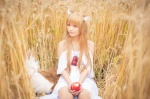 animal_ears cosplay dress horo orange_hair rococo spice_and_wolf tail whistle_around_the_world wolf_ears rating:Safe score:0 user:nil!