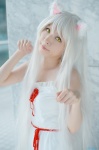 animal_ears bakemonogatari cat_ears cosplay dress hanekawa_tsubasa mikiko silver_hair rating:Safe score:0 user:pixymisa