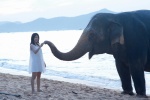 beach dress elephant kawashima_umika ocean ys_web_506 rating:Safe score:0 user:nil!