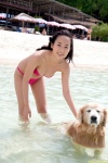 beach bikini braid cleavage dgc_1023 dog ocean swimsuit takashima_kaho wet rating:Safe score:0 user:nil!
