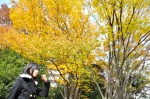 coat fall leaves sakurai_hinoki sweater rating:Safe score:1 user:nil!