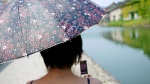 cellphone dress sayaka umbrella rating:Safe score:0 user:nil!