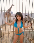 cage circus cleavage giraffe kawamura_yukie miss_actress monokini one-piece_swimsuit sequins side-tie swimsuit zebra rating:Safe score:1 user:nil!