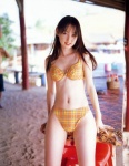 akiyama_rina beach bikini plaid swimsuit rating:Safe score:2 user:nil!