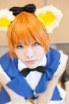animal_ears bloomers blouse bowtie caramel_eyes cat_ears cosplay gloves hoshizora_rin jacket kai_(iv) love_live!_school_idol_project orange_hair thighhighs rating:Safe score:0 user:pixymisa