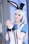 animal_ears apron bunny_ears cosplay dress idolmaster_2 okiron shijou_takane white_hair rating:Safe score:1 user:nil!