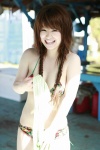 bikini cleavage nakajima_airi swimsuit twin_braids wanibooks_75 rating:Safe score:0 user:nil!