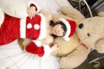 bed choko costume detached_sleeves dress santa_costume stocking_cap stuffed_animal teddy_bear thighhighs rating:Safe score:0 user:nil!