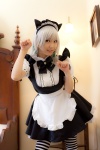 animal_ears apron blouse cat_ears cosplay izayoi_sakuya jumper lenfried maid maid_uniform silver_hair striped thighhighs touhou twin_braids rating:Safe score:0 user:nil!
