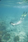 bikini can't_help_fall_in_love cleavage ocean side-tie_bikini suzanne swimsuit underwater wet yamamoto_sae rating:Safe score:1 user:nil!