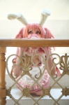animal_ears apron bunny_ears cosplay dress inu_boku_secret_service kurosaki_shihomu maid maid_uniform pink_hair roromiya_karuta twintails rating:Safe score:1 user:nil!