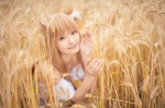 animal_ears cosplay dress horo orange_hair rococo spice_and_wolf whistle_around_the_world wolf_ears rating:Safe score:0 user:nil!