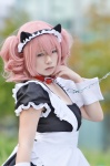 animal_ears apron cat_ears collar cosplay dress inu_boku_secret_service leash maid maid_uniform pink_hair roromiya_karuta yui_(ii) rating:Safe score:0 user:nil!