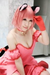 animal_ears cat_ears cosplay momomiya_ichigo pink_hair saki tail tokyo_mew_mew rating:Safe score:0 user:Log