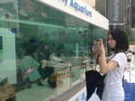 aquarium handbag kanda_midori phone umbrella rating:Safe score:0 user:NomadSoul