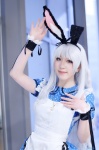 animal_ears apron bunny_ears cosplay dress idolmaster_2 okiron shijou_takane white_hair rating:Safe score:0 user:nil!